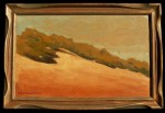 Jack Cassinetto - Hillside Sonora