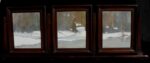 Jack Cassinetto - Truckee River three panels