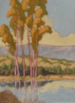 Jack Cassinetto - Young Eucalyptus Reflection