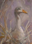 Christine Crozier - On the Nest