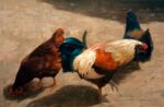 Allen Figone - Chicken Dance