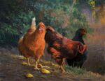 Allen Figone - Chicken Study