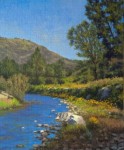 Allen Figone - Creekside Poppies II