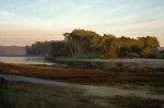 Allen Figone - Elkhorn Mouth of the Slough