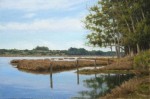 Allen Figone - Elkhorn Soft Reflections