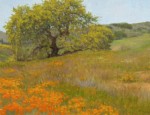 Allen Figone - Oak and Poppies