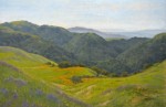 Allen Figone - Sierra Road Wildflowers