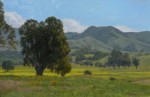 Allen Figone - View from Montgomery Hill Park