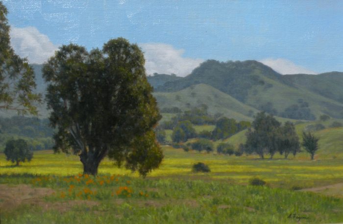 Allen Figone - View from Montgomery Hill Park