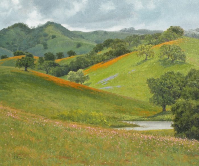 Allen Figone - Yerba Buena Wildflowers