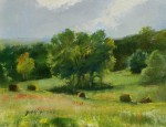 Ronald Goldfinger - Tyringham Field