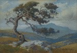 Percy Gray - Cloud Swept Tam