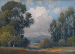 Percy Gray - Eucalyptus Marin