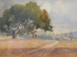 Percy Gray - Marin Pathway