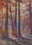 Jane Hofstetter - Sunset Glow