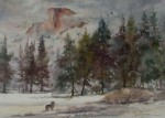 Jane Hofstetter - Visitor at Half Dome