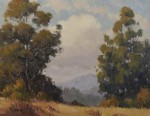Paul Kratter - Eucalyptus Marin
