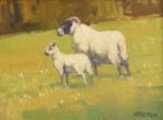 Paul Kratter - Scottish Sheep