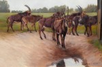 Sergio Lopez - Across Continents