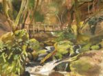 Sergio Lopez - Cataract Falls Mt Tam Watershed