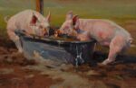 Kyle Paliotto - Bathing Beauties