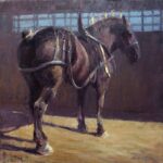 Kyle Paliotto - Dark Horse