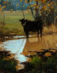 Kyle Paliotto - Fall Reflections