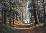 Dave Sellers - A Kingdom of Trees