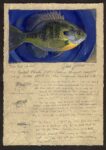 Dave Sellers - Blue Plate Special