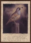 Dave Sellers - California Quail