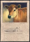Dave Sellers - Claravale Dairy