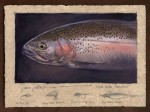 Dave Sellers - Eagle Lake Rainbow