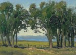 Dave Sellers - Fort Ross Eucalyptus