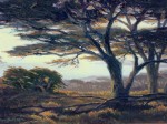 Dave Sellers Golden - Cypress, Pt Lobos