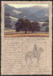 Dave Sellers - Hay Field Oaks