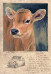 Dave Sellers - Jersey Heifer