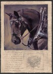 Dave Sellers - Light Draft