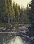 Dave Sellers - Lyell Fork Tuolumne River