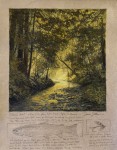 Dave Sellers - Marcels Forest