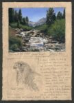 Dave Sellers - Mid Day at Rock Creek