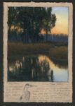 Dave Sellers - Napa River Blue Heron