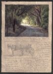 Dave Sellers - On A Country Road
