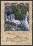 Dave Sellers - Sierra Stream