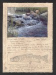 Dave Sellers - Small Creek Between Cottonwood Lakes