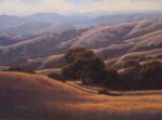 Dave Sellers - Summer Hills Sonoma