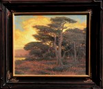 Dave Sellers - Sunset Tapestry