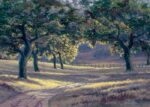 Dave Sellers - The Oak Woodland