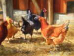 Robert Semans - Chickens