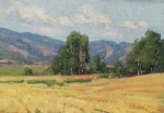 Bart Walker - Fields of Barley