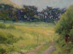 Bart Walker - Hidden Pasture